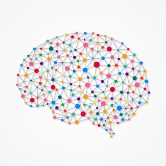 Brainnetwork-e1436746440606-1024x1024